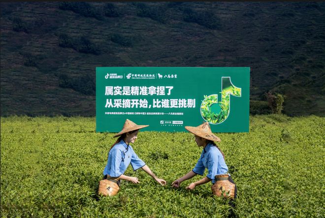 拼多多如何与邮政合作(拼多多如何与邮政合作发货)